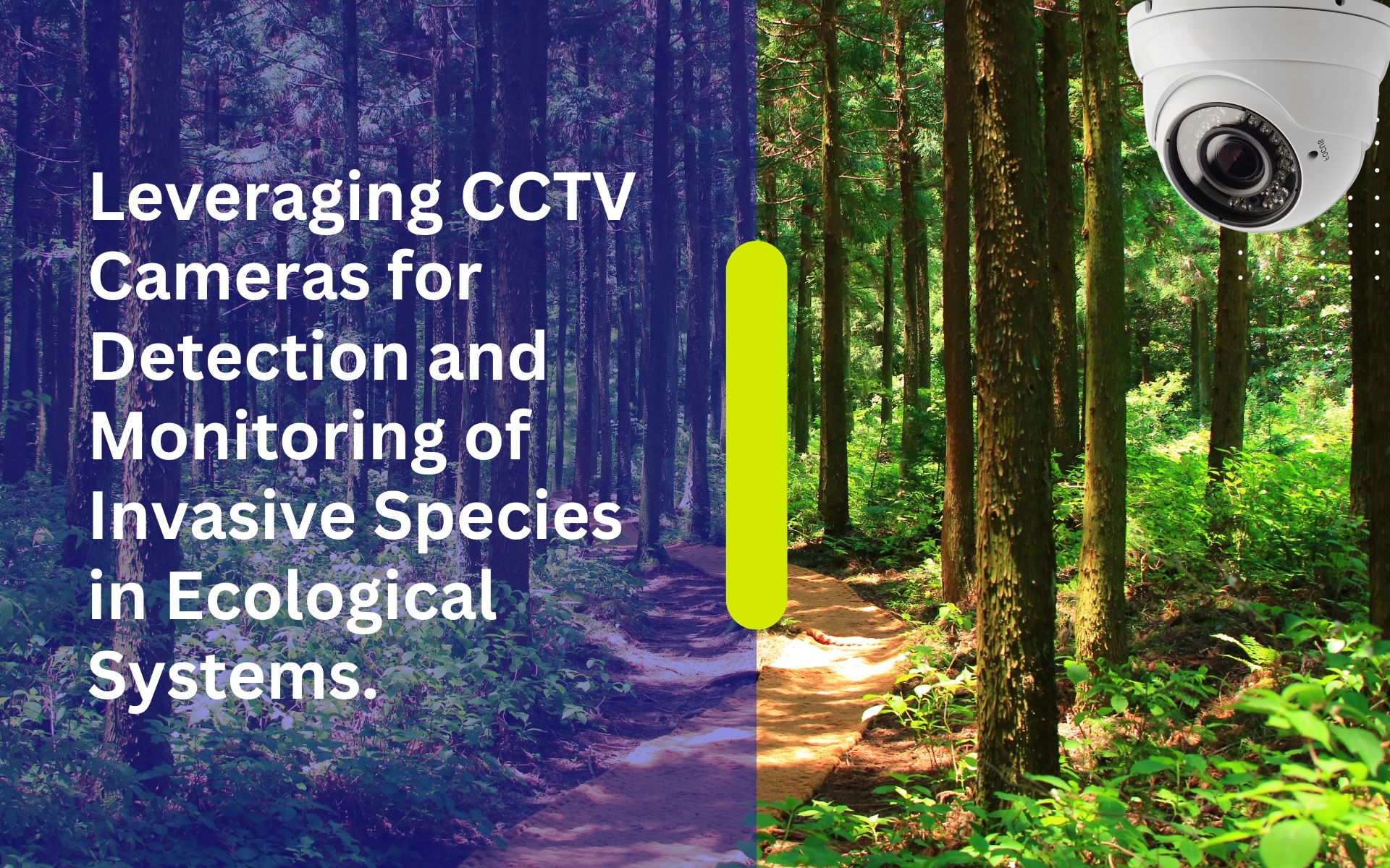 Leveraging CCTV Cameras for Detection and Monitoring of Invasive Species in Ecological Systems.