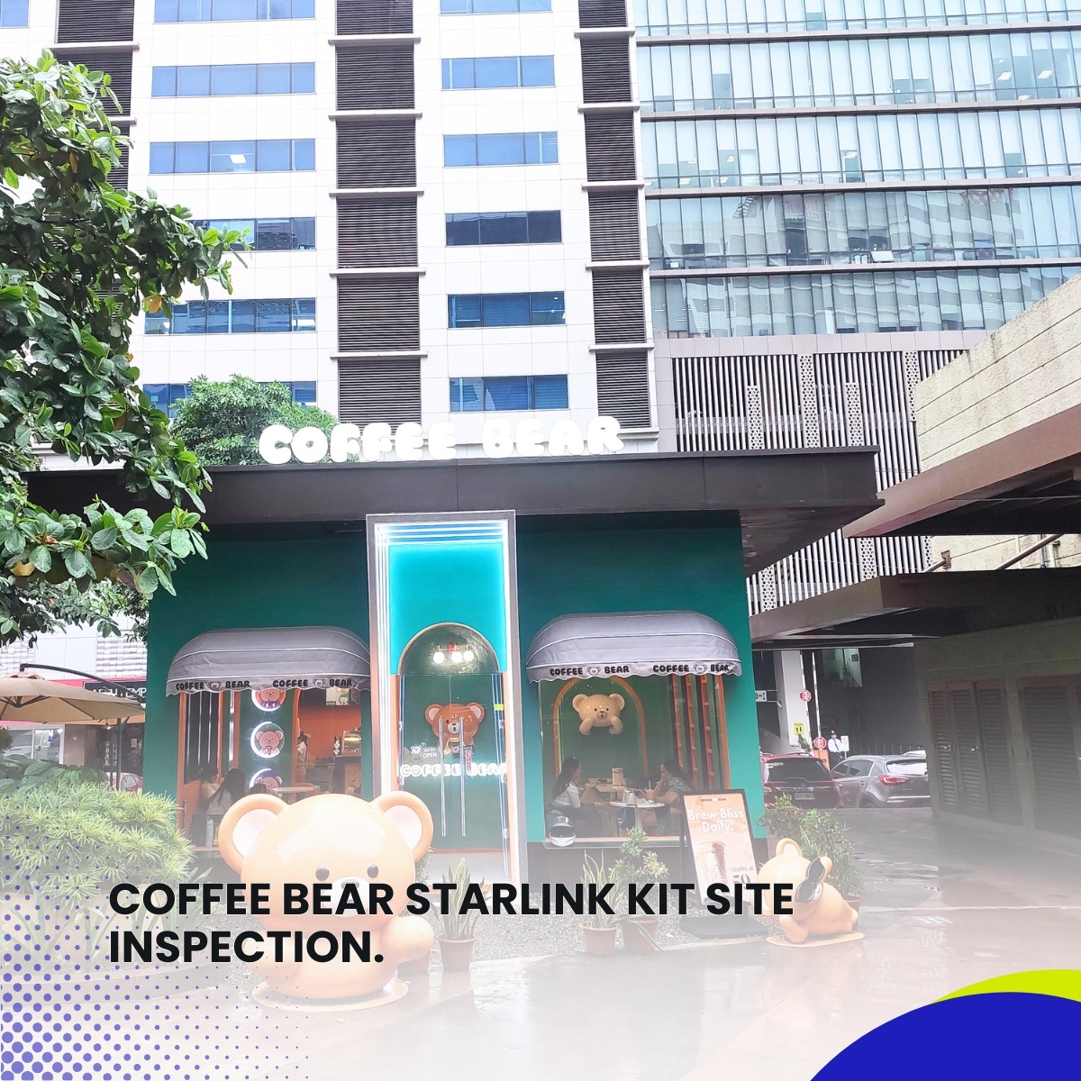 COFFEE BEAR Starlink Kit Site Inspection 1
