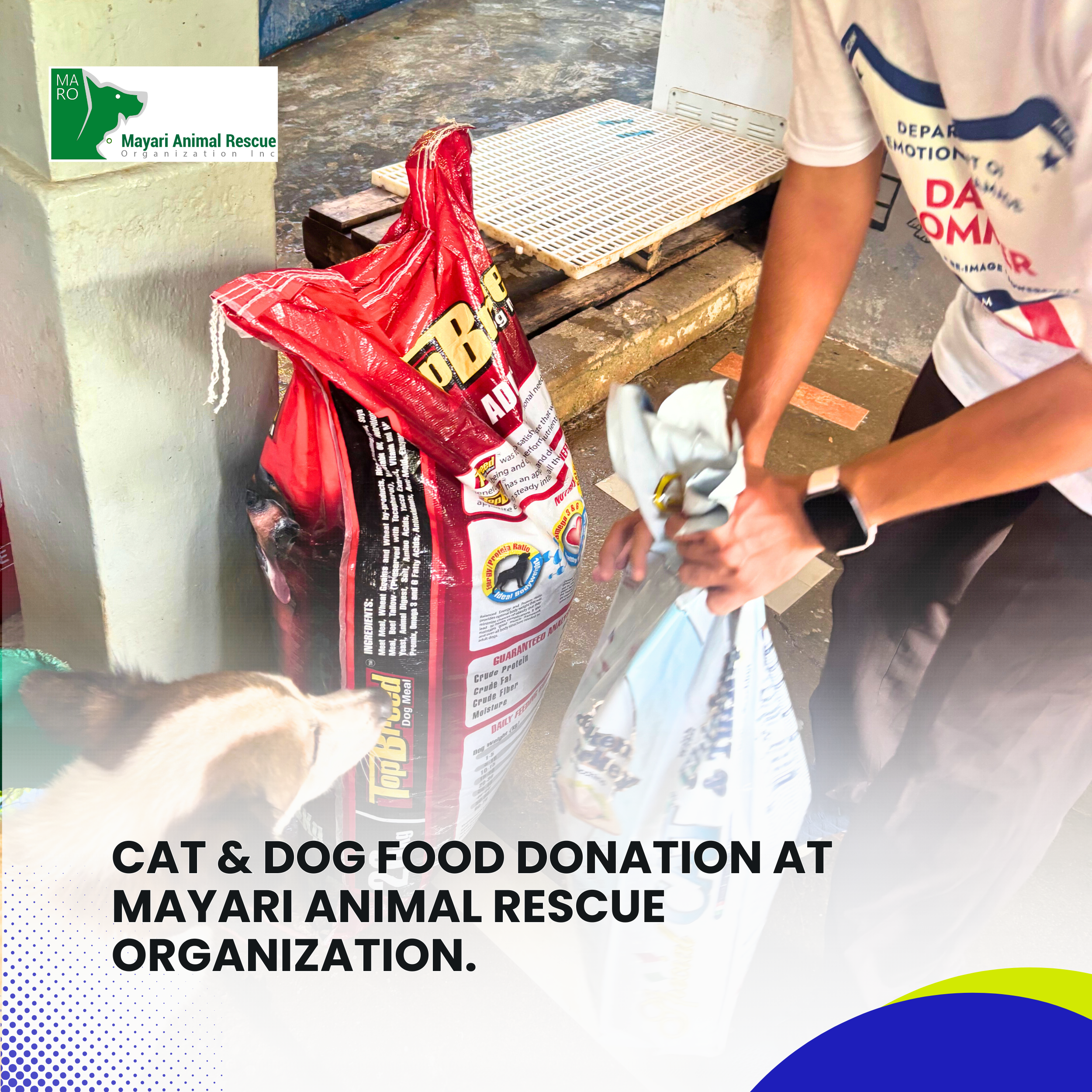 Read more about the article Cat & Dog food Donation at Mayari Animal Rescue Organization.