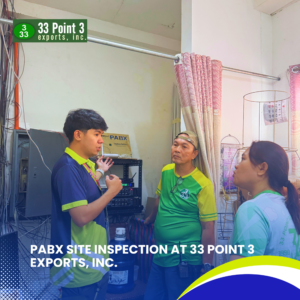 33 Point 3 Exports, Inc (3)