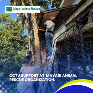 CCTV Support at Mayari Animal Rescue Organization (10)