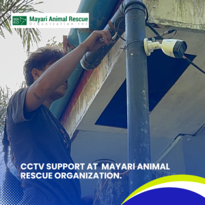 CCTV Support at Mayari Animal Rescue Organization (2)