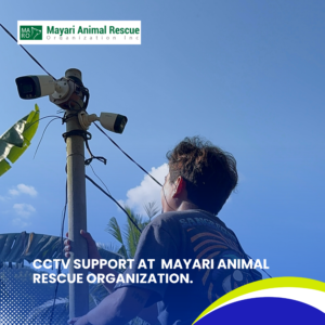 CCTV Support at Mayari Animal Rescue Organization (3)