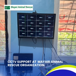 CCTV Support at Mayari Animal Rescue Organization