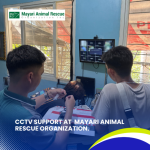 CCTV Support at Mayari Animal Rescue Organization (4)