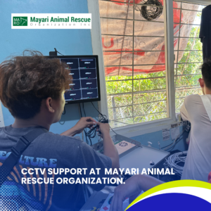 CCTV Support at Mayari Animal Rescue Organization (5)