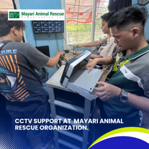 CCTV Support at Mayari Animal Rescue Organization (6)