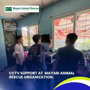 CCTV Support at Mayari Animal Rescue Organization (7)