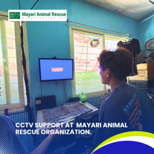 CCTV Support at Mayari Animal Rescue Organization (8)