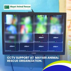 CCTV Support at Mayari Animal Rescue Organization (9)
